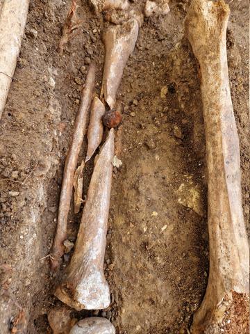 1 excavations at the brevnov monastery national heritage institute photo cz  broken tibia and projectile