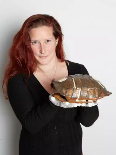 Stephanie Holt