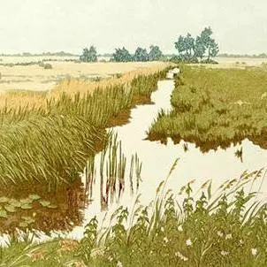engineering the environment and imagining nature in the early modern world