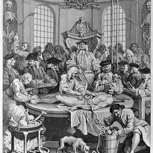 A Caricature of an anatomical dissection