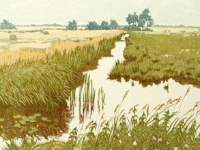 engineering the environment and imagining nature in the early modern world