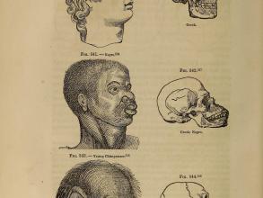 brandler image extracted from types of mankind