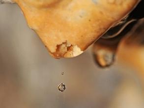 stalactite drip water credit thomas bresson