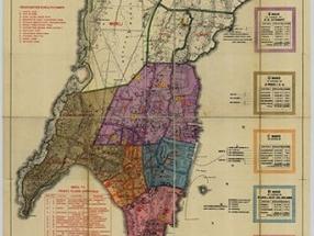 webster plaguedistrictsbombayplaguecommittee